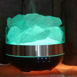 humidifier treasurers himalayan