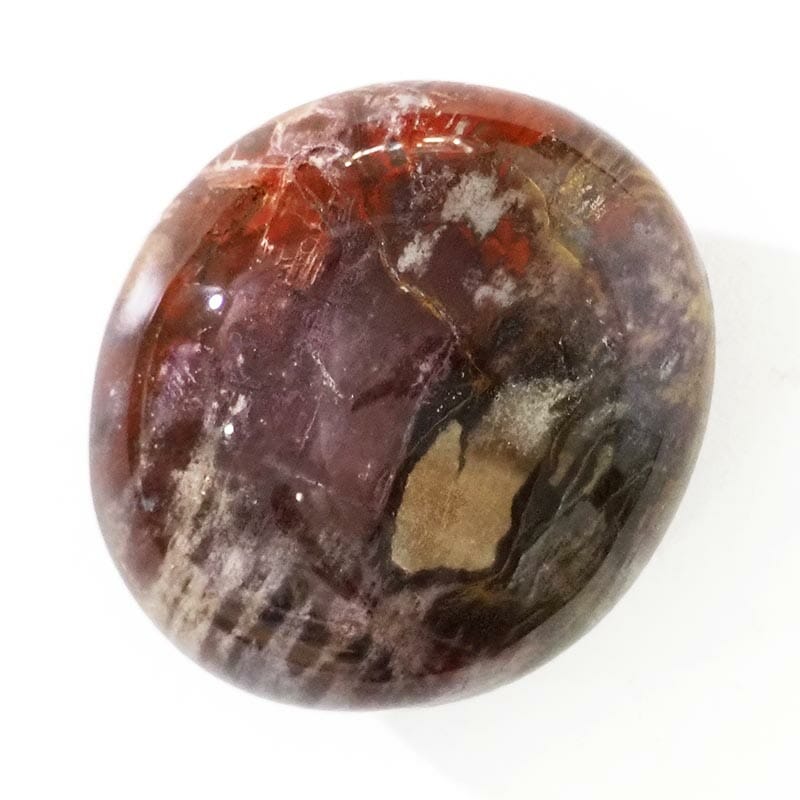 Petrified Wood Polished Palm Stone - Medium For Sale - AfterPay Available