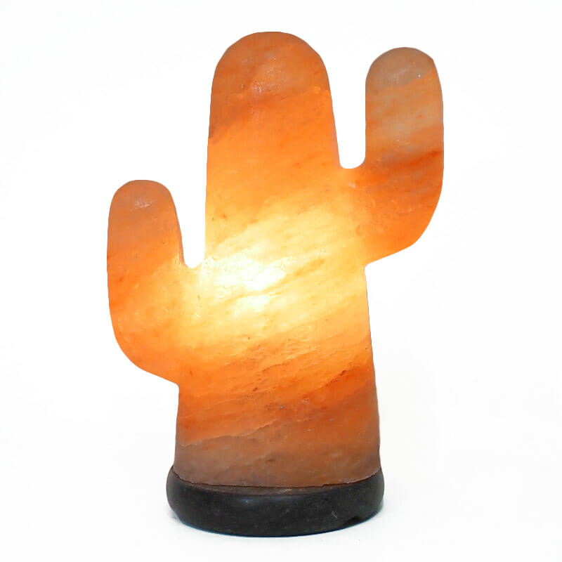 Cactus salt store lamp