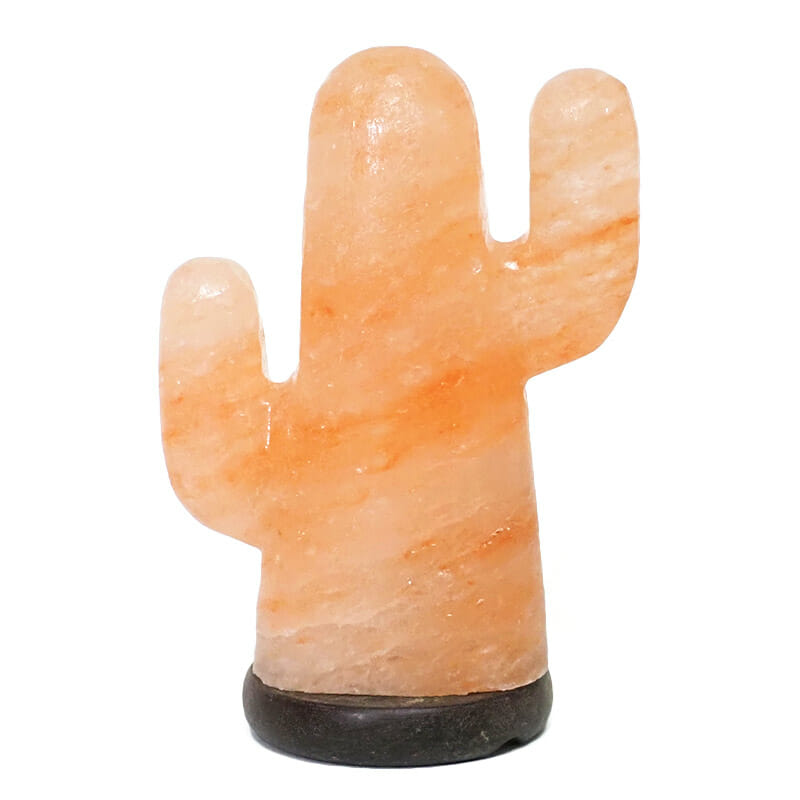 Cactus salt store lamp